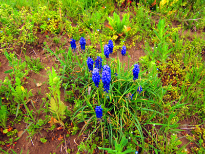 20130418_01.png